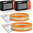 APEAF1664 2 Pcs Engine Air Filter