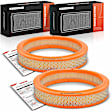 APEAF1665 2 Pcs Engine Air Filter