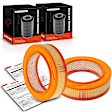 APEAF1666 2 Pcs Engine Air Filter