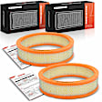 APEAF1671 2 Pcs Engine Air Filter