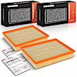 APEAF1678 2 Pcs Engine Air Filter