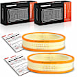 APEAF1679 2 Pcs Engine Air Filter
