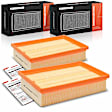 APEAF1681 2 Pcs Engine Air Filter
