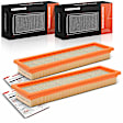 APEAF1683 2 Pcs Engine Air Filter