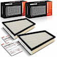 APEAF1686 2 Pcs Engine Air Filter