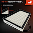 APEAF1686 2 Pcs Engine Air Filter