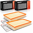 APEAF1687 2 Pcs Engine Air Filter