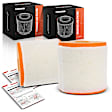 APEAF1690 2 Pcs Engine Air Filter