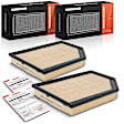 APEAF1693 2 Pcs Engine Air Filter