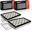 APEAF1694 2 Pcs Engine Air Filter