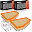 APEAF1695 2 Pcs Engine Air Filter