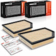APEAF1696 2 Pcs Engine Air Filter
