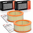 APEAF1697 2 Pcs Engine Air Filter