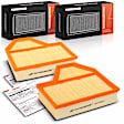 APEAF1698 2 Pcs Driver & Passenger Engine Air Filter