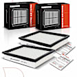 APEAF169 2 Pcs Engine Air Filter