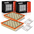 APEAF171 2 Pcs Engine Air Filter with Flexible Panel