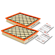 APEAF171 2 Pcs Engine Air Filter with Flexible Panel