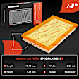 APEAF1738 Engine Air Filter