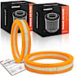 APEAF1739 2 Pcs Engine Air Filter