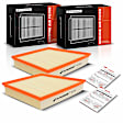 APEAF173 2 Pcs Engine Air Filter