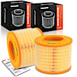 APEAF1745 2 Pcs Engine Air Filter