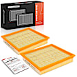 APEAF1749 2 Pcs Front Engine Air Filter