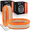 APEAF1751 2 Pcs Engine Air Filter