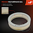 APEAF1753 2 Pcs Engine Air Filter