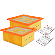 APEAF175 2 Pcs Engine Air Filter