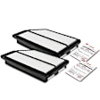 APEAF177 2 Pcs Engine Air Filter with Rigid Panel