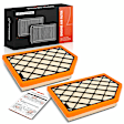 APEAF1781 2 Pcs Engine Air Filter