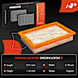 APEAF1791 2 Pcs Engine Air Filter