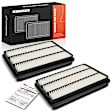 APEAF1795 2 Pcs Engine Air Filter