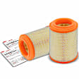 APEAF179 2 Pcs Engine Air Filter