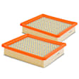 APEAF181 2 Pcs Engine Air Filter
