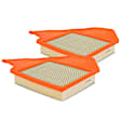 APEAF183 2 Pcs Engine Air Filter