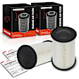 APEAF193 2 Pcs Engine Air Filter