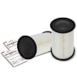 APEAF193 2 Pcs Engine Air Filter