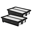 APEAF197 2 Pcs Engine Air Filter
