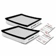 APEAF199 2 Pcs Engine Air Filter