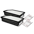 APEAF201 2 Pcs Engine Air Filter