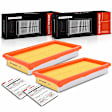 APEAF203 2 Pcs Engine Air Filter