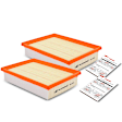 APEAF205 2 Pcs Engine Air Filter