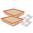 APEAF211 2 Pcs Engine Air Filter