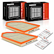 APEAF213 2 Pcs Engine Air Filter