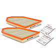 APEAF213 2 Pcs Engine Air Filter