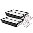 APEAF215 2 Pcs Engine Air Filter