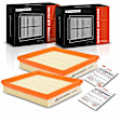APEAF219 2 Pcs Engine Air Filter