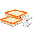 APEAF219 2 Pcs Engine Air Filter