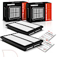 APEAF225 2 Pcs Engine Air Filter with Rigid Panel